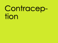 Victoria University Polytechnic- Cert 2b and 3 EAL Youth - STIs and Contraception (male students)